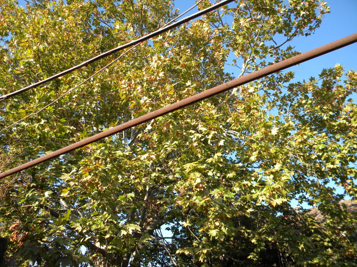 DSCN8017 .JPG